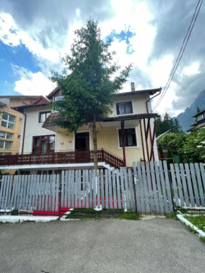 CONSTANTINESCU A. Buşteni